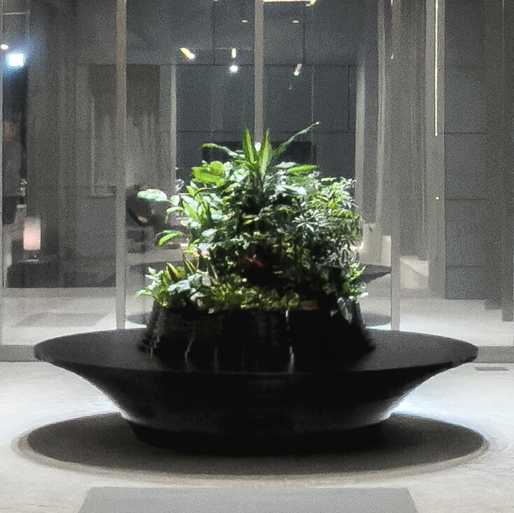 MST